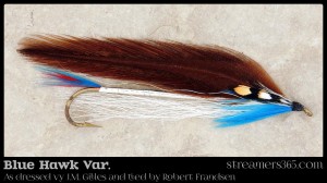 Blue Hawk Var. by Robert Frandsen