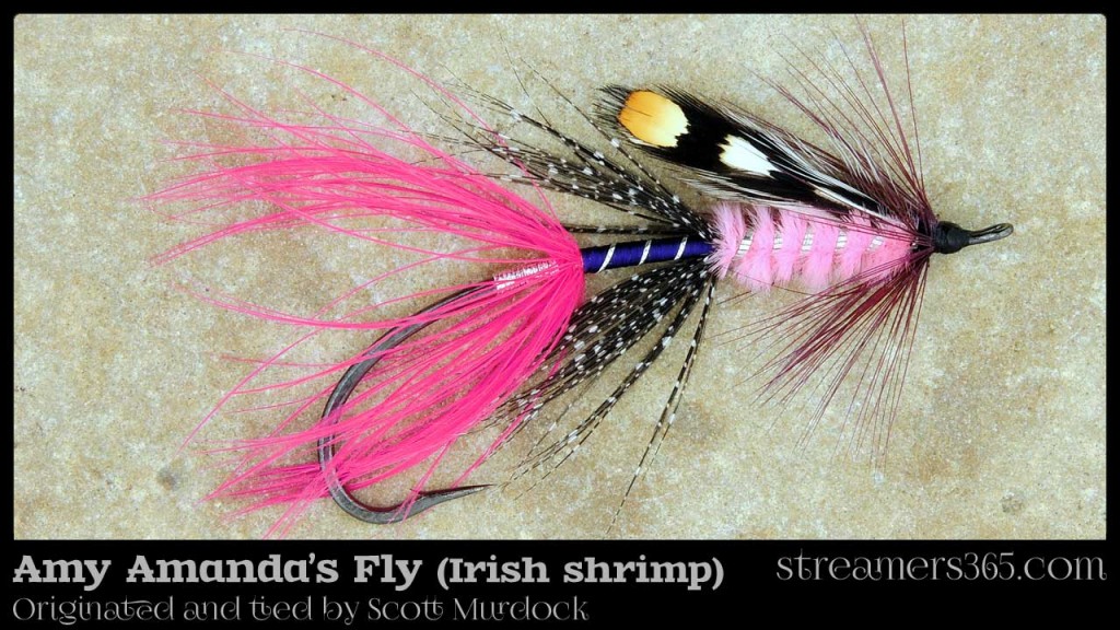 Amy Amanda's Fly - Irish Shrimp by Scott Murdock