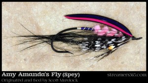 Amy Amanda's Fly - Spey by Scott Murdock