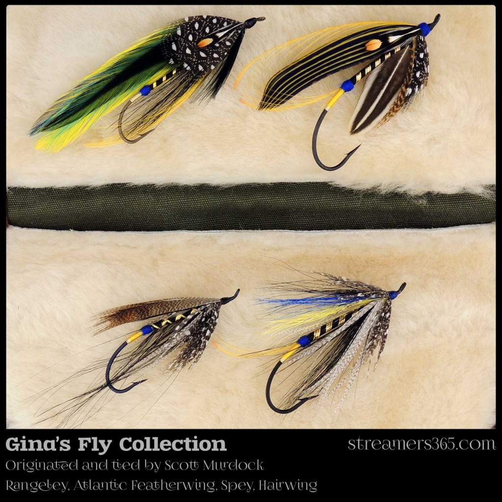 Gina's Fly series by Scott Murdock