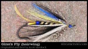 Gina's Fly - Hairwing by Scott Murdock