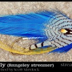 Karen's Fly - Rangeley Streamer by Scott Murdock