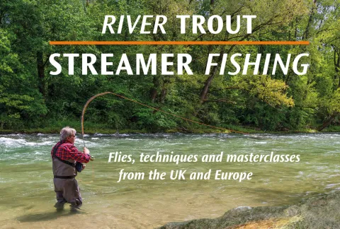 River Trout Streamer Fishing