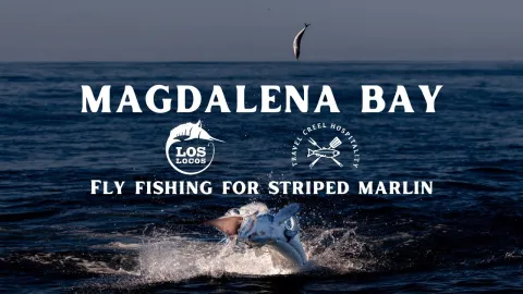 Video thumb for Fly Fishing for Striped Marlin