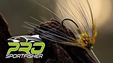 Video thumb for Spy Fly