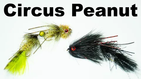 Video thumb for Circus Peanut