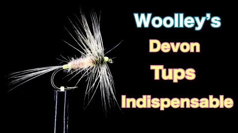 Video thumb for Tups Indispensible