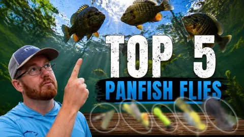 Video thumb for The 5 Panfish Flies I'd Fish for the Rest of My Life