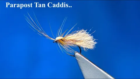 Video thumb for Parapost Tan Caddis
