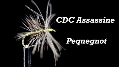 Video thumb for CDC Assassine