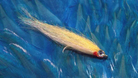 Video thumb for Craft Fur Anchovy