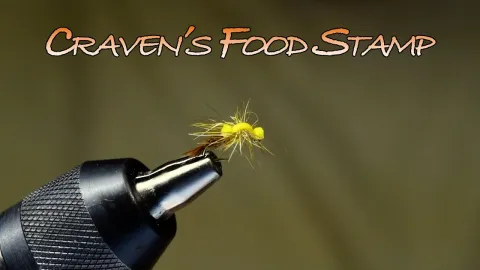 Video thumb for Craven's Food Stamp