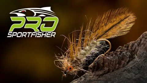 Video thumb for Brown Matuka