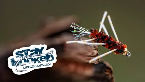 Video thumb for Girdle Bug