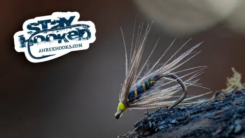 Video thumb for Blue Dun Hackle
