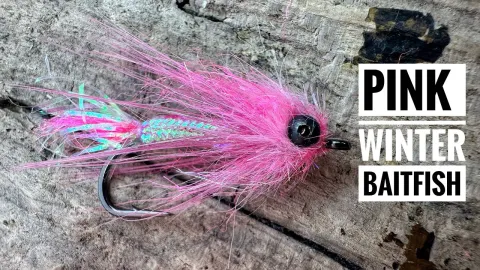 Video thumb for Can be Seen from Space