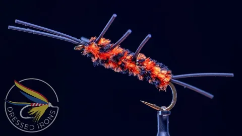 Video thumb for Pat's Rubber Leg Stone