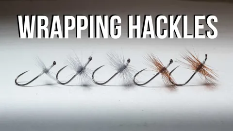 Video thumb for The Hackle Test That Changed How I Tie