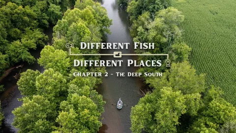 Video thumb for The Deep South