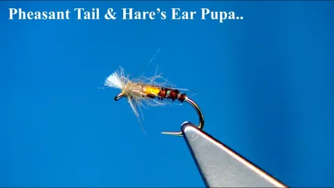Video thumb for Pheasant Tail & Hare's Ear Midge Pupa