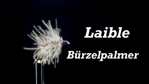 Video thumb for Bürzelpalmer - CDC Palmer