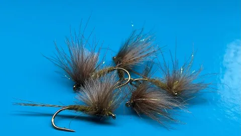 Video thumb for CDC May Fly