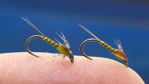 Video thumb for Small Baetis Nymph