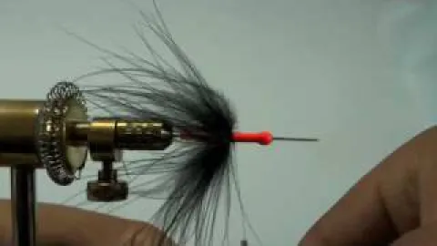 Video thumb for Eumer Egg Sucking Leech