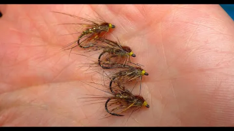 Video thumb for Hare's Mask Caddis Pupa