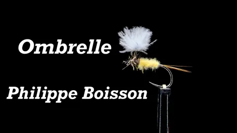 Video thumb for Ombrelle