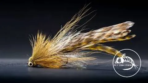 Video thumb for Andino Deceiver