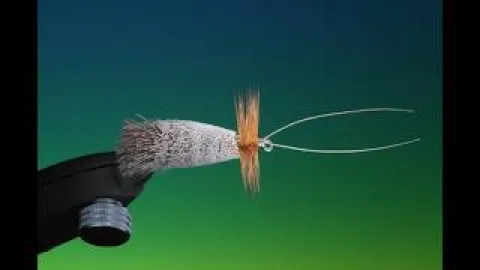 Video thumb for Goddard's Caddis