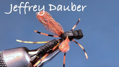 Video thumb for Jeffrey Dauber
