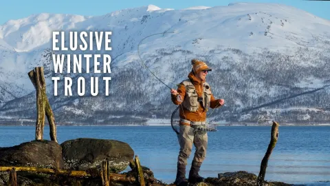 Video thumb for Arctic Sea Trout