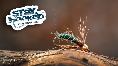 Video thumb for Gold Bead Johnson Pupa