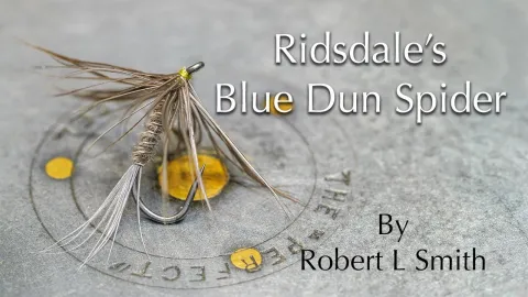 Video thumb for Ridsdale's Blue Dun Spider