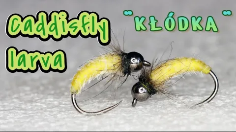 Video thumb for Caddisfly larva KŁÓDKA