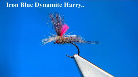 Video thumb for Hi-Vis Dynamite Harry