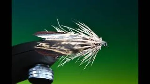 Video thumb for Pheasant Wing Caddis