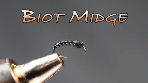 Video thumb for Biot Midge