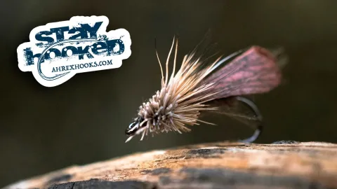 Video thumb for Pro Caddis