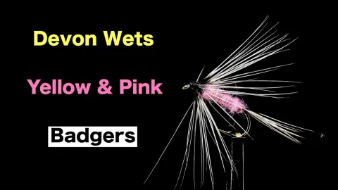 Video thumb for Yellow and Pink Badger
