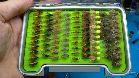 Video thumb for Tan & Brown Caddis Pupa