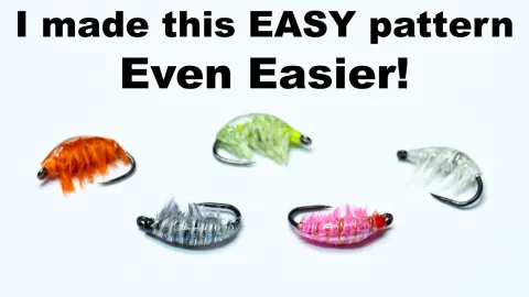 Video thumb for Ray Charles Scud