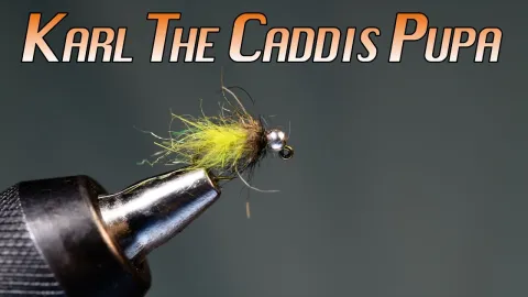 Video thumb for Karl the Caddis Pupa