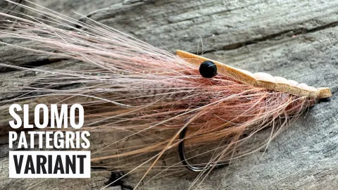 Video thumb for SloMo Pattegrisen Variant