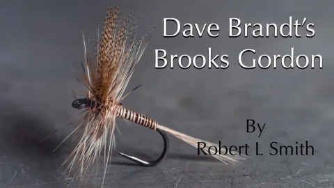 Video thumb for Dave Brandt's Brooks Gordon