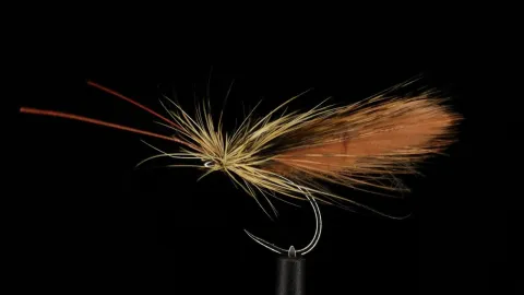 Video thumb for Italian Style Caddis