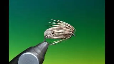 Video thumb for Clarke's Deer Hair Pupa