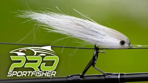 Video thumb for RAW CF Baitfish
